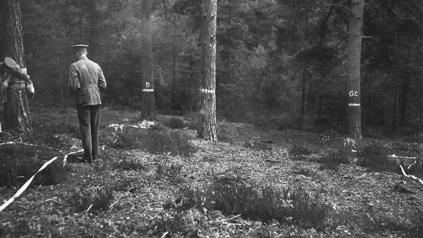 Miranda Pennell – Why Colonel Bunny Was Killed, 2010